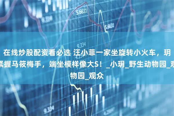 在线炒股配资看必选 汪小菲一家坐旋转小火车，玥儿紧握马筱梅手，端坐模样像大S！_小玥_野生动物园_观众